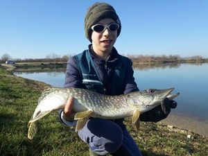 Northern Pike