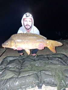 Mirror Carp