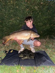 Mirror Carp