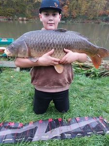 Common Carp