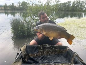Mirror Carp