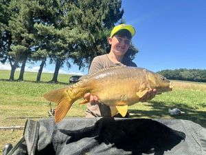 Mirror Carp