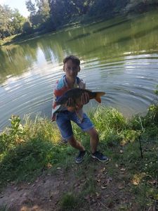 Mirror Carp