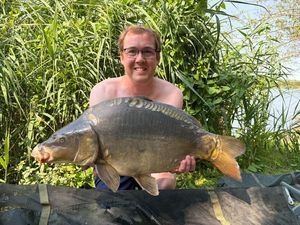 Mirror Carp