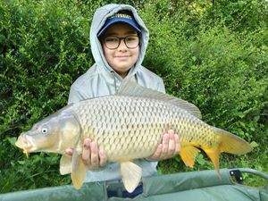 Common Carp