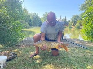 Common Carp