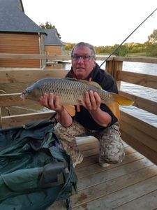 Common Carp