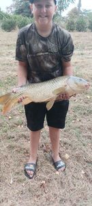 Common Carp