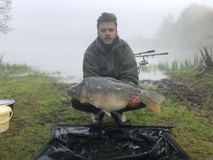 Mirror Carp
