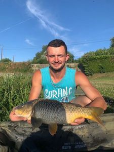 Common Carp