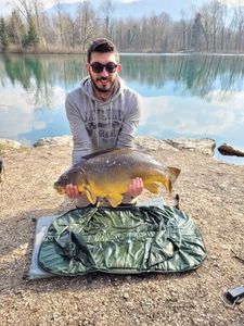 Mirror Carp