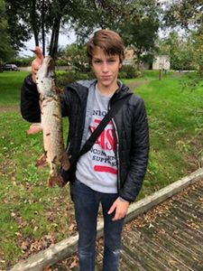Northern Pike