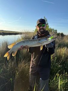 Northern Pike