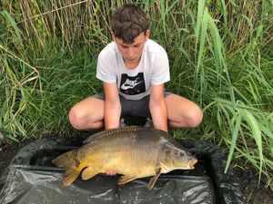 Mirror Carp
