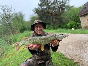 Northern Pike