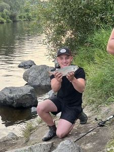Goldeye