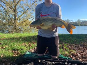 Common Carp