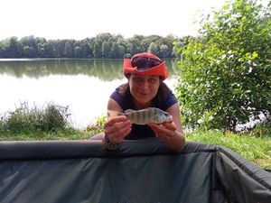 European Perch