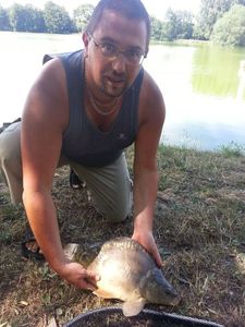 Mirror Carp