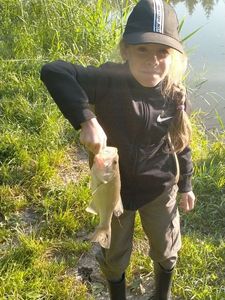 Smallmouth Bass