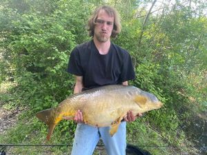 Mirror Carp