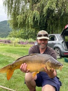 Mirror Carp