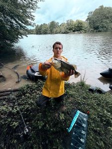 Largemouth Bass