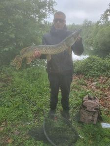 Northern Pike