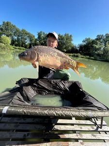 Mirror Carp