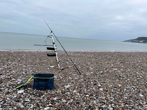 Mackerel