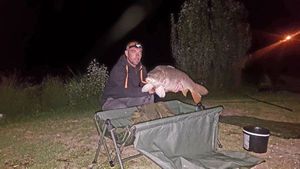 Common Carp