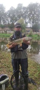 Northern Pike