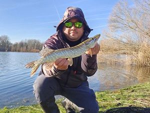 Northern Pike