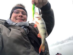 European Perch