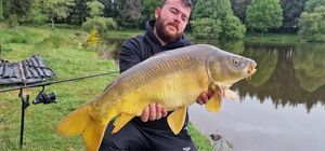 Mirror Carp