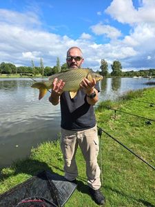 Common Carp