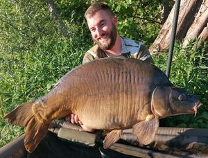 Mirror Carp