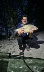 Common Bream