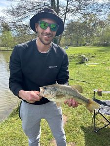 Largemouth Bass