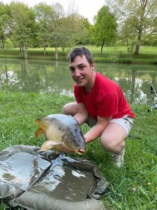 Mirror Carp