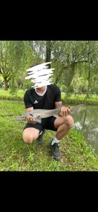 Sturgeon