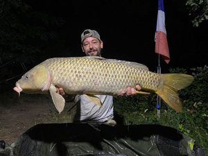 Common Carp