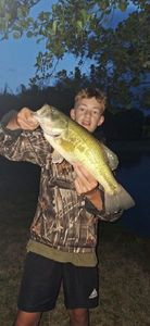 Largemouth Bass