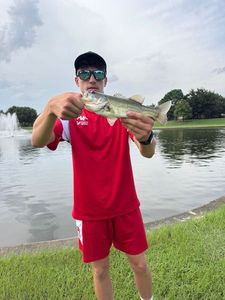 Largemouth Bass