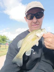 Largemouth Bass