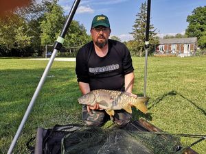 Mirror Carp