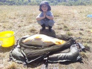Leather Carp