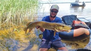 Northern Pike