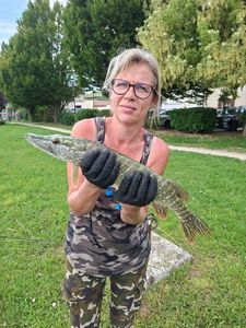 Northern Pike