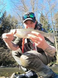 Rainbow Trout